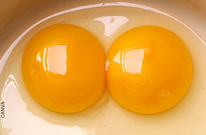 Foto de dos yemas de huevo
