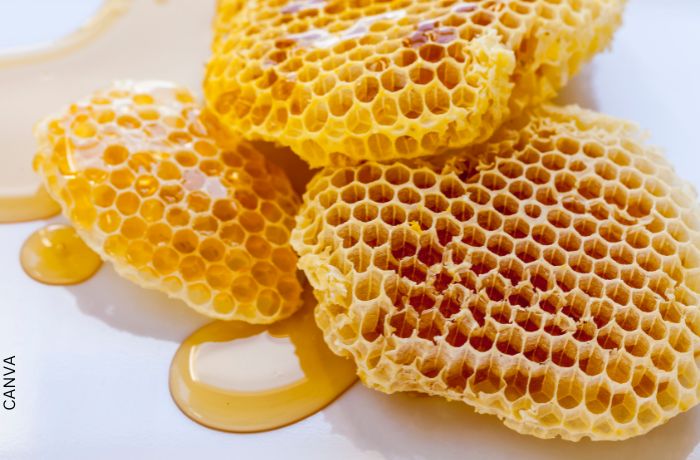 Foto de un panal con miel de abejas