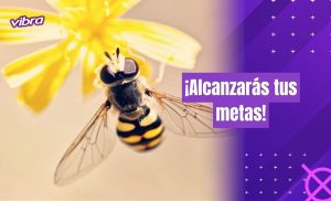 Significado de abeja, ¡conoce tosos sus secretos!
