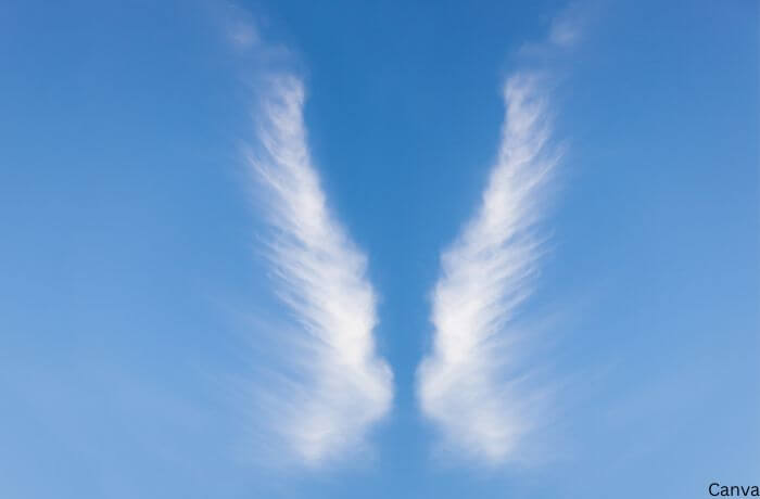Foto de unas alas de nubes
