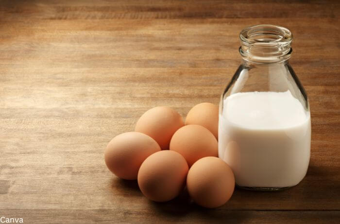 Foto de una jarra de leche y varios huevos