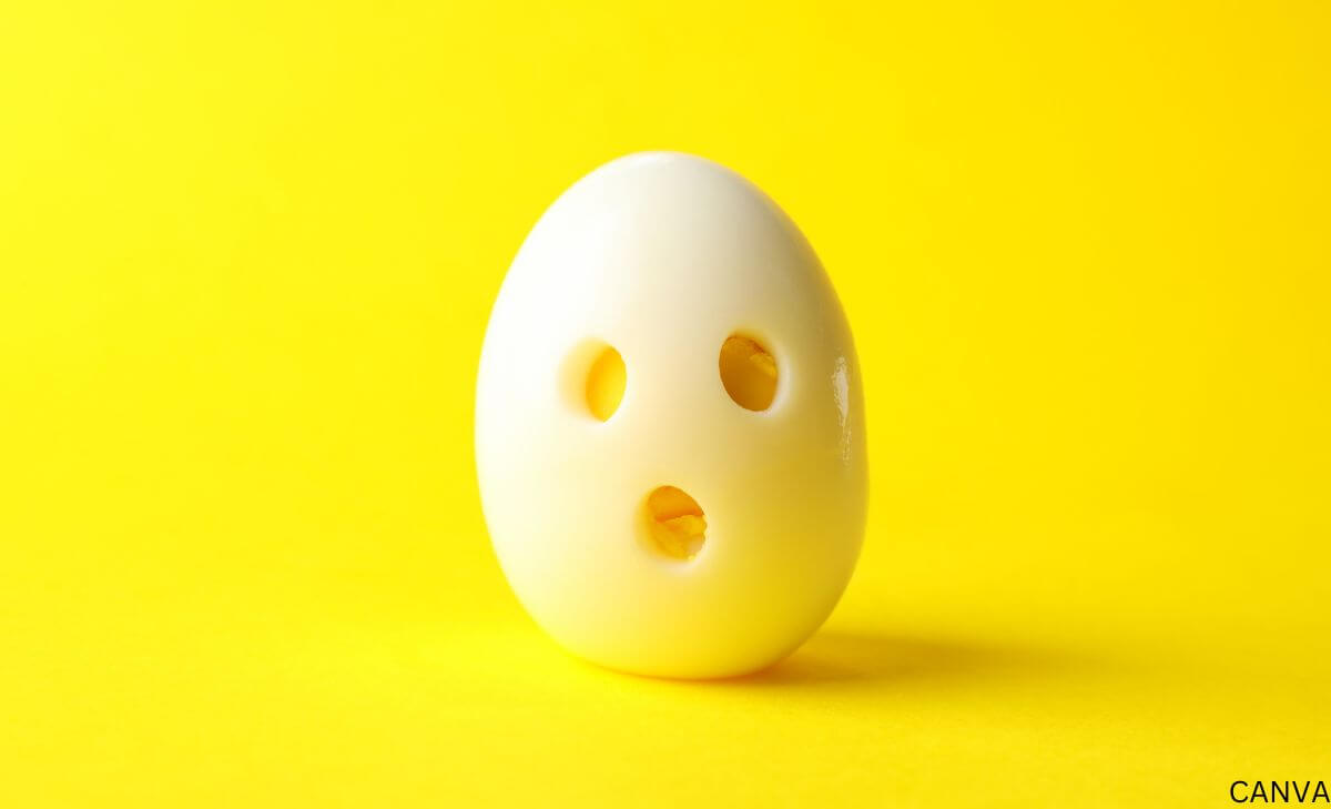 ¿Para qué sirve la clara de huevo? ¡Proteína pura!