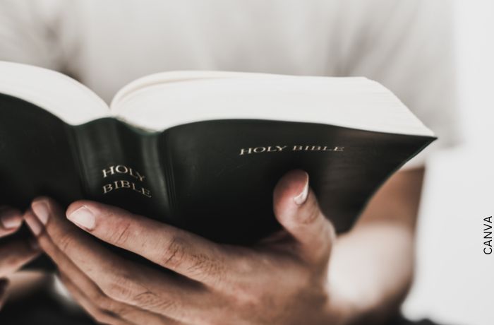 Foto de unas manos sosteniendo una biblia