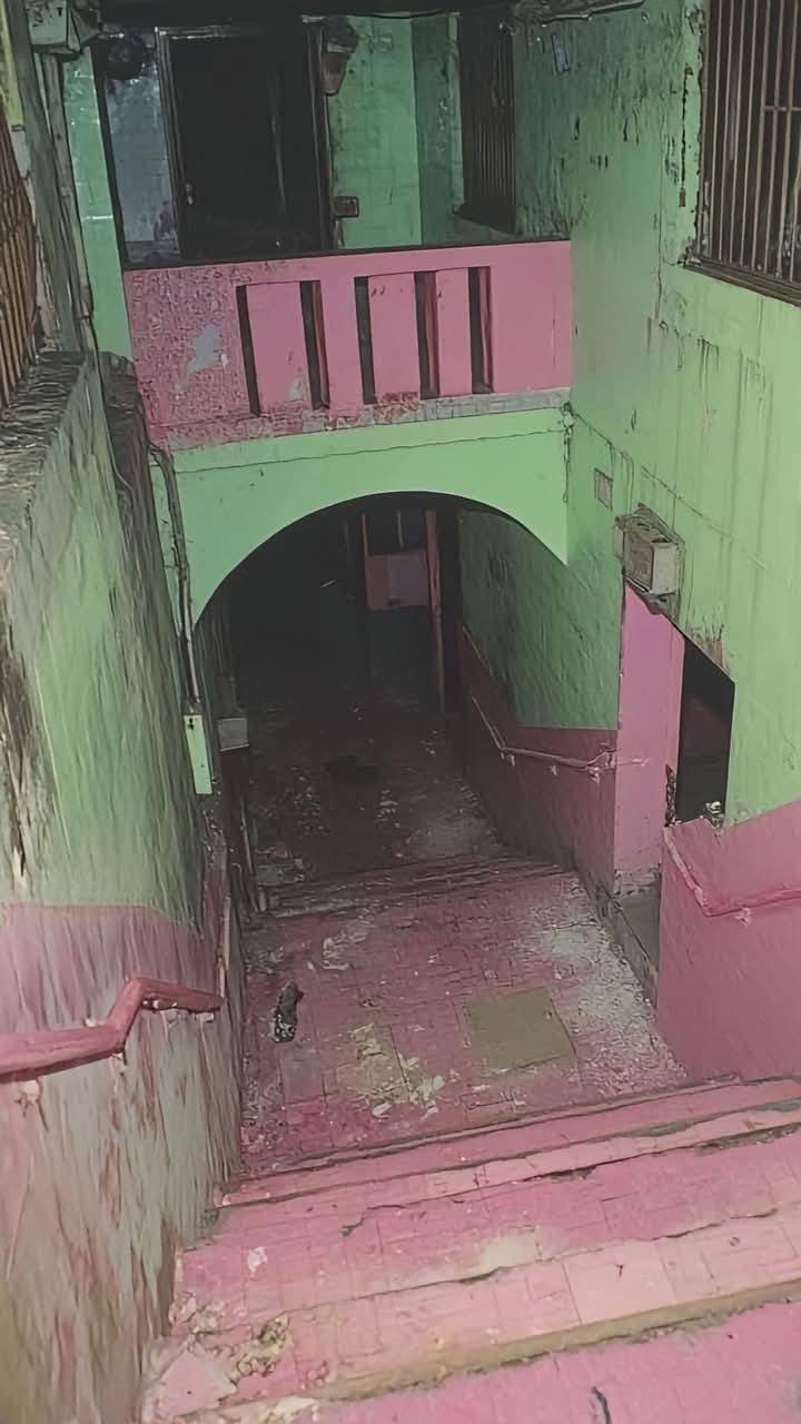 Estas serían las fotos del lugar en donde se vivió