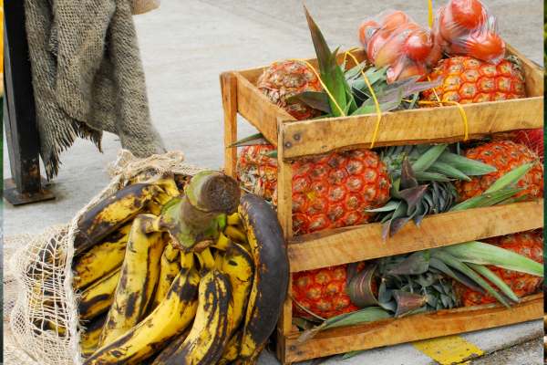 5 alimentos colombianos que ayudan a mejorar tu salud y bienestar