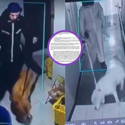 hombre que golpeó brutalmente a su perro