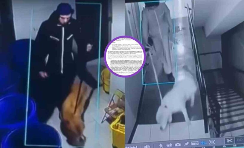 hombre que golpeó brutalmente a su perro