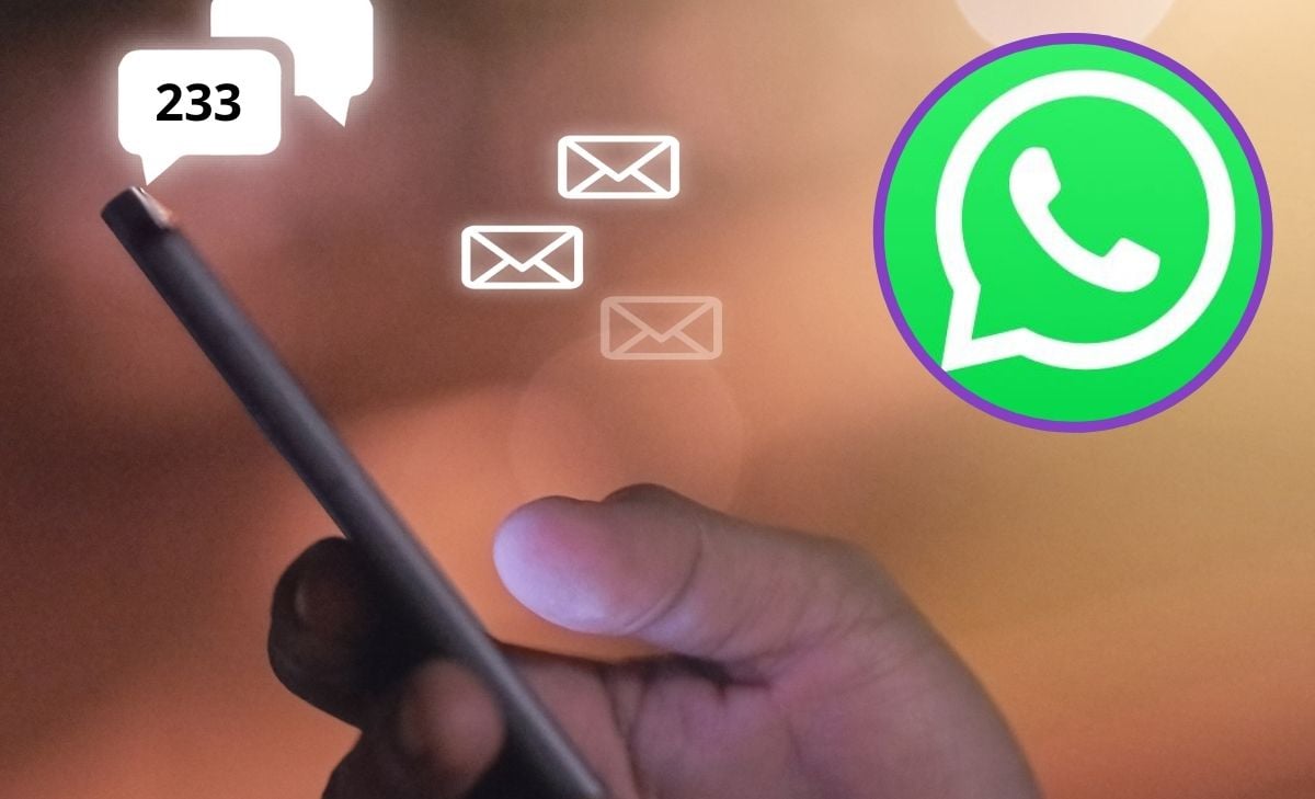 Qué significa que respondan 233 en WhatsApp