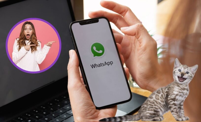 Stickers virales de WhatsApp