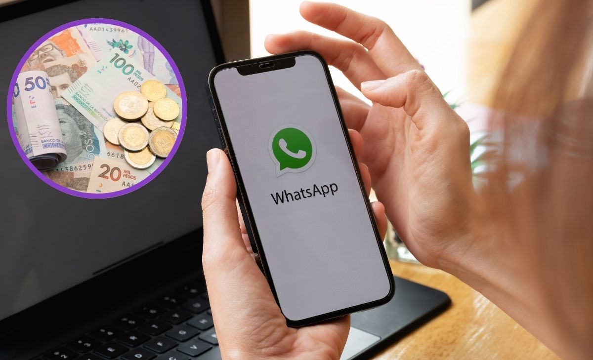 Usar whatsapp