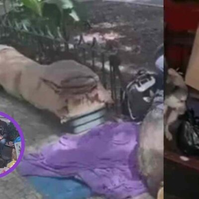 recordado actor de telenovelas ahora vive en la calle