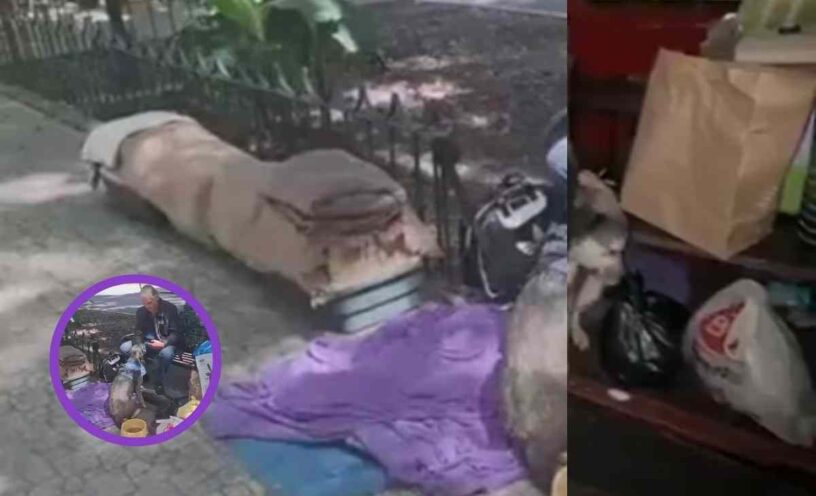 recordado actor de telenovelas ahora vive en la calle
