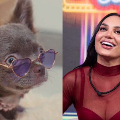 Andrea Valdiri presumió el lujoso cuarto que le hizo a su perro