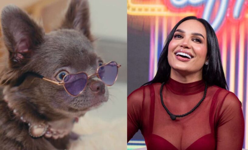 Andrea Valdiri presumió el lujoso cuarto que le hizo a su perro