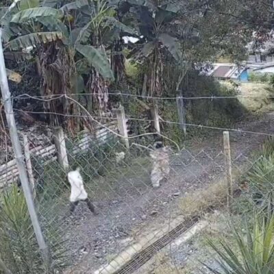 cámara de seguridad que captó a pastor persiguiendo a su hijastra en Chinchiná Caldas