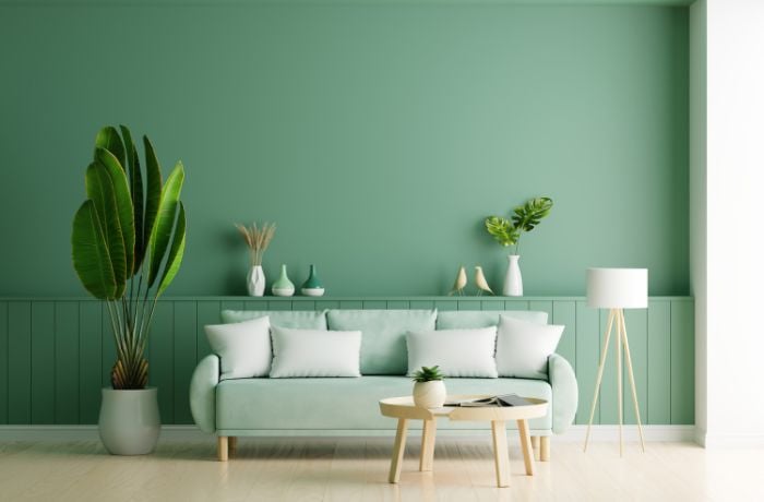 Foto de una casa con interior verde