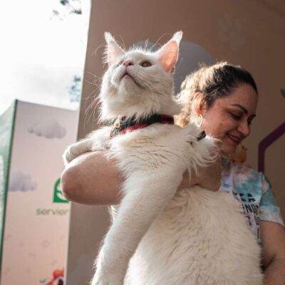 En Colombia se elegirá al mejor gato en la Copa Internacional Felina 2024 de Expopet