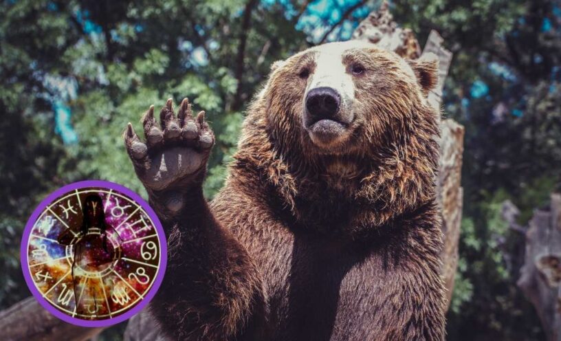 en-que-animal-reencarnarias-segun-tu-fecha-de-nacimiento