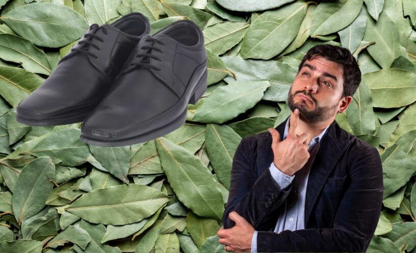por qué debe ponerse una hoja de laurel en el zapato