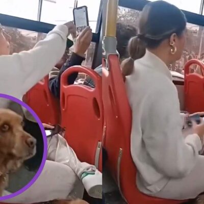 Criticaron a mujer por llevar a perro en un bus