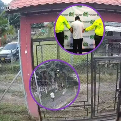 Foto del hueco que cavó el pastor en Chinchiná para enterrar a su hijastra