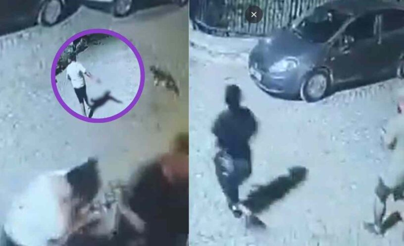 hombre le quita la vida a su exnovia usando un arma de fuego