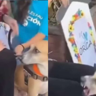 Melissa Gate fue atacada por un perro