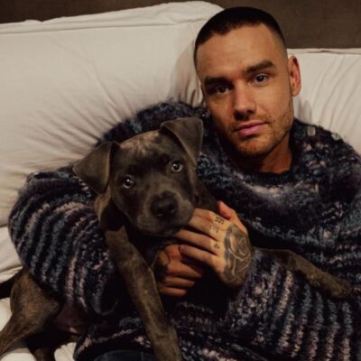 Integrantes de la banda One Direction despidieron a Liam Payne