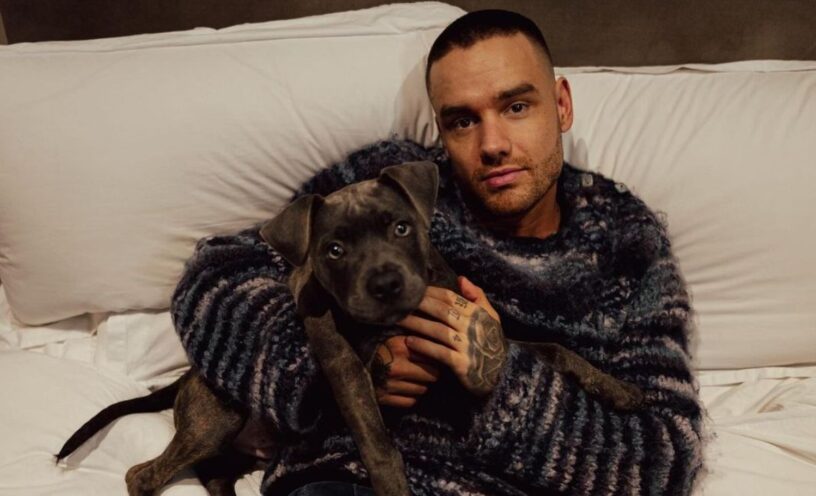 Integrantes de la banda One Direction despidieron a Liam Payne