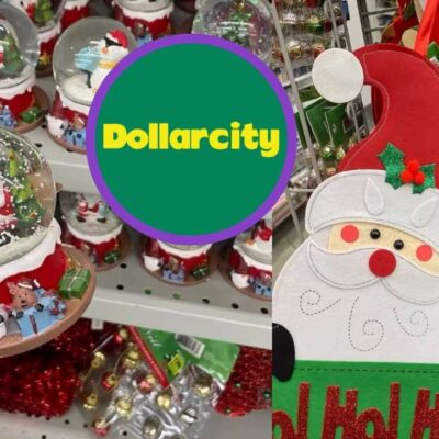 Los nuevos productos del DollarCity para Navidad por menos de 20 mil pesos