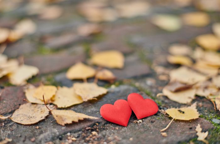 Foto de dos corazones de papel en medio de hojas secas