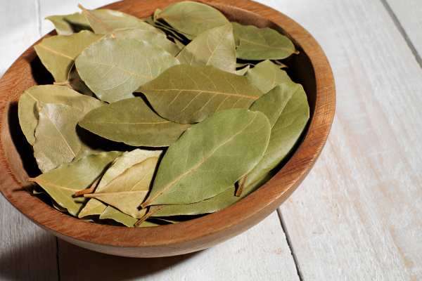 por qué debe ponerse una hoja de laurel en el zapato