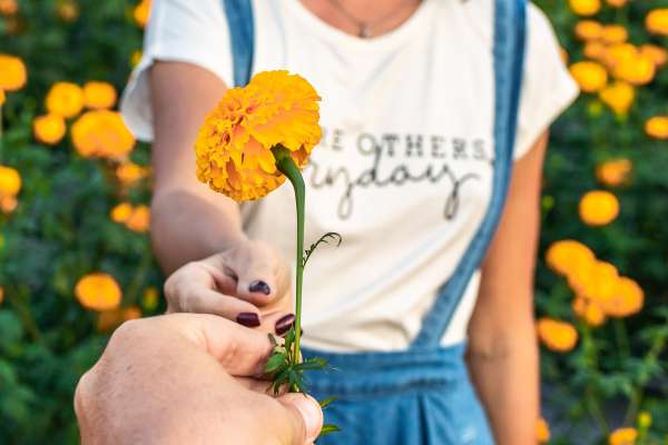 regalar flores amarillas en septiembre