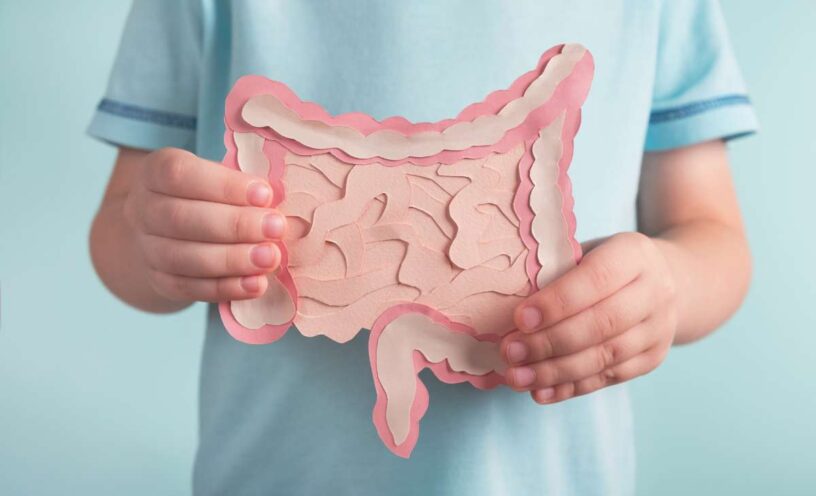 probioticos para candidiasis