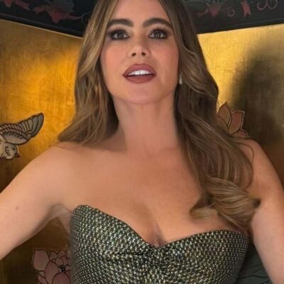 que dice sofia vergara sobre nueva novia de su ex