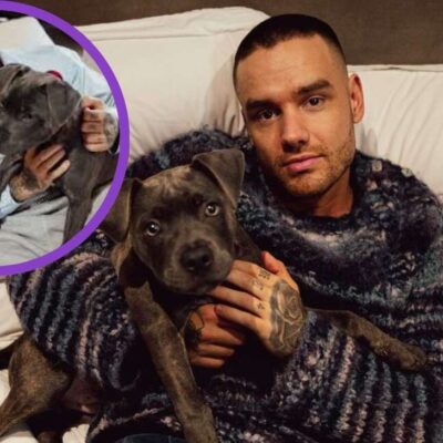 qué pasó con el perro que Liam Payne adoptó antes de fallecer