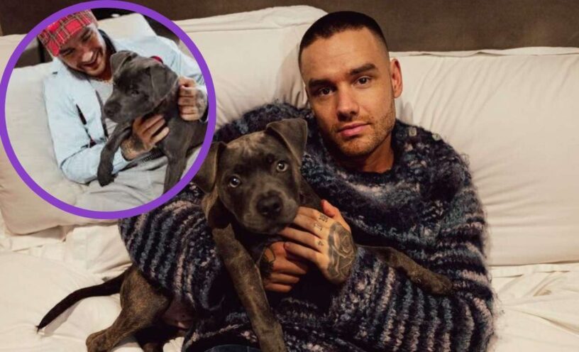 qué pasó con el perro que Liam Payne adoptó antes de fallecer