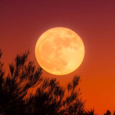 Rituales para manifestar amor y abundancia en la luna de sangre 2025