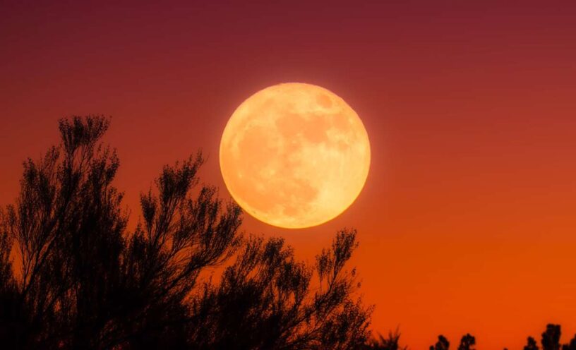 Rituales para manifestar amor y abundancia en la luna de sangre 2025