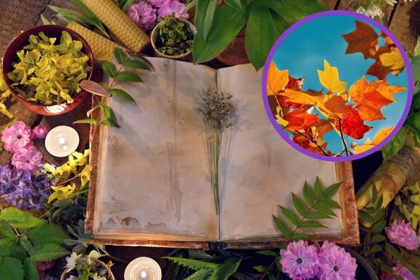 Rituales para la abundancia