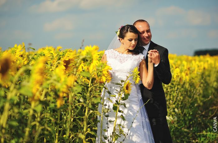 Foto de una pareja de recién casados en medio de un campo de girasoles