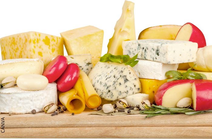 Foto de varios tipos de queso