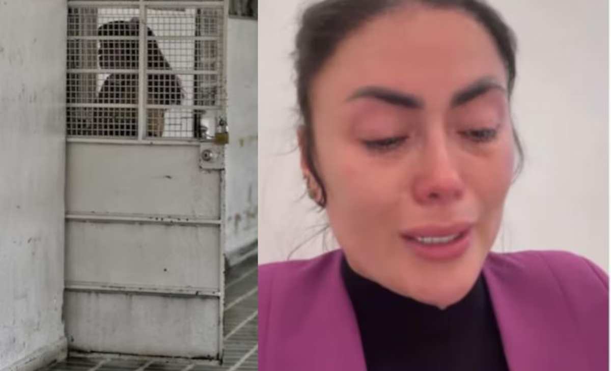 se niega casa por cárcela a laempresaria Daneydy Barrera Rojas