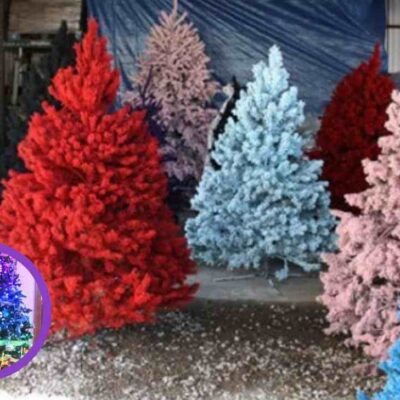 El color que debes usar en tu árbol este 2025 según tu signo zodiacal
