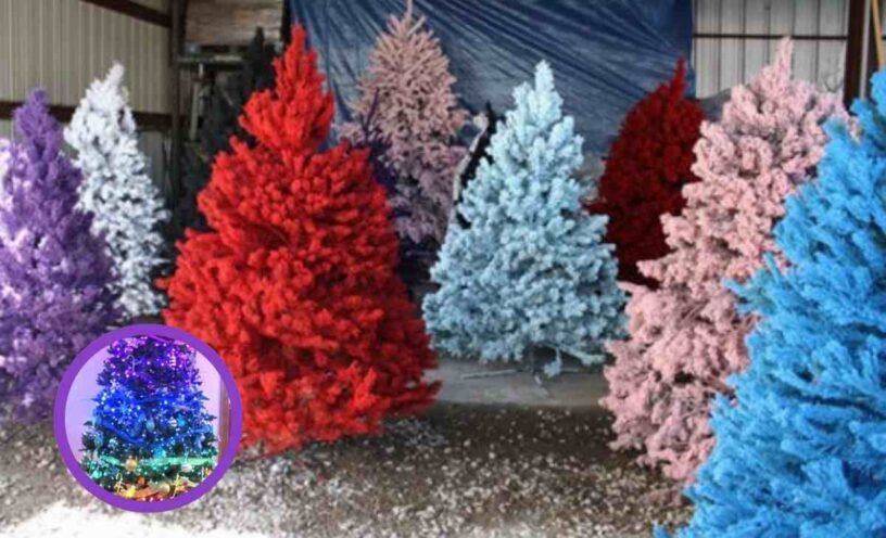 El color que debes usar en tu árbol este 2025 según tu signo zodiacal