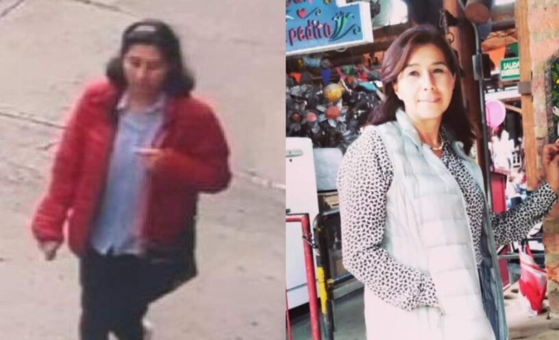 qué encontraron en el cuerpo de la fonoaudióloga