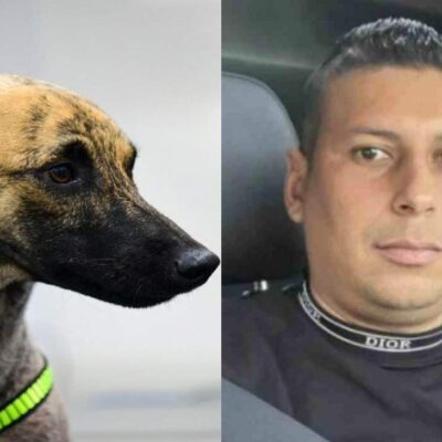 imputan cargos al agresor de Bizcocho