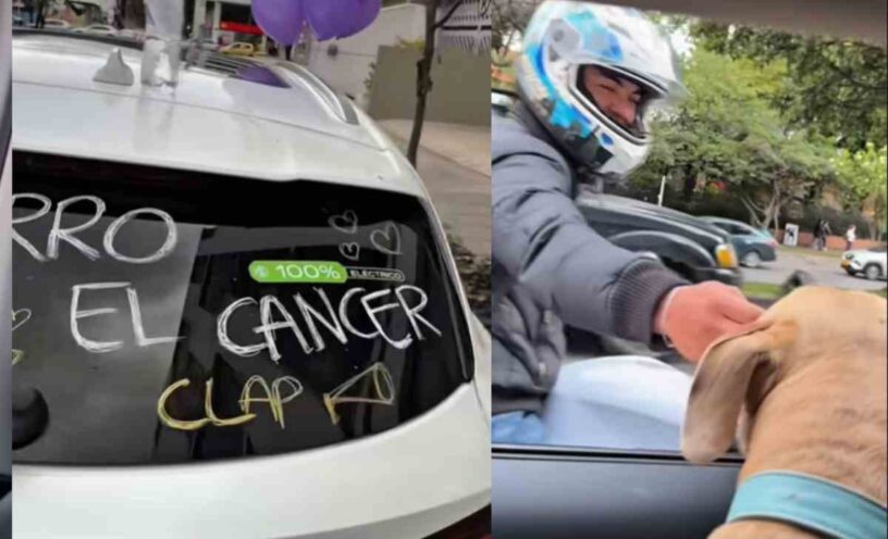 influencer bogotano celebró la recuperación de su perrito