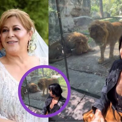 El video del susto de Alina Lozano con un león en un zoológico