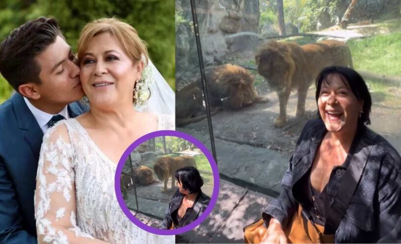 El video del susto de Alina Lozano con un león en un zoológico